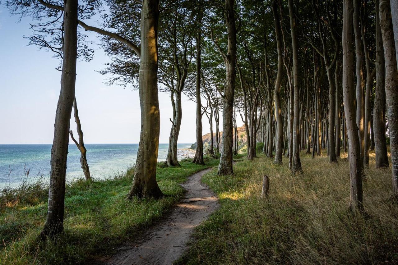 Gemuetliche Ferienresidenz Mit Meerblick Ueber Die Wundervolle Luebecker Bucht Timmendorfer Strand Zewnętrze zdjęcie